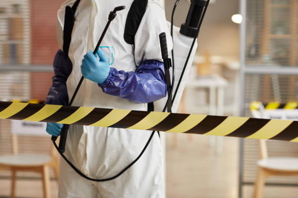 Professional Sewage Cleanup technician working in Alexandria, NE